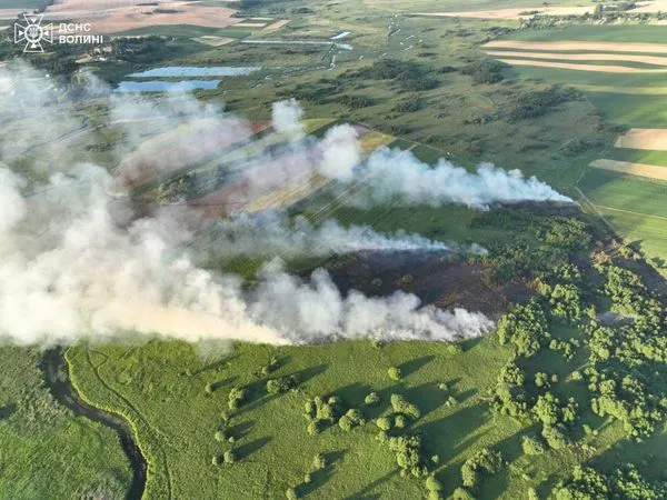 Біля Луцька горіли два гектари трави (фото, оновлено)
