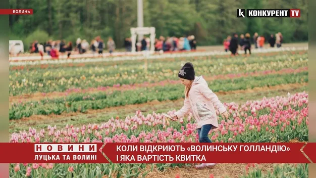 «Волинська Голландія»: вартість квитків і програма (відео)