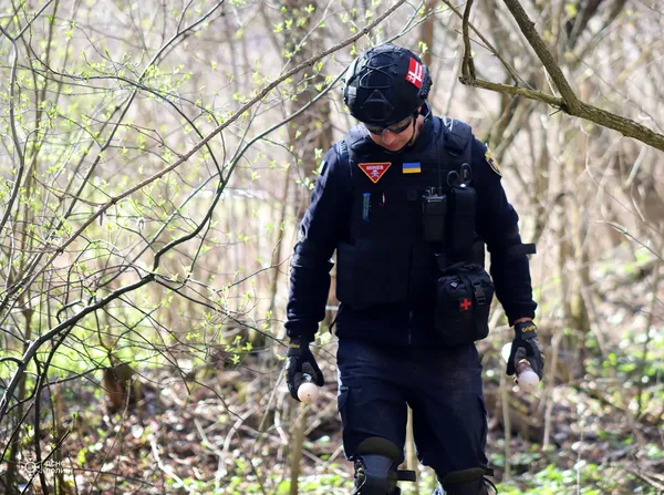 У лісі на Волині знайшли схрон боєприпасів німецької армії часів Другої світової війни (фото)