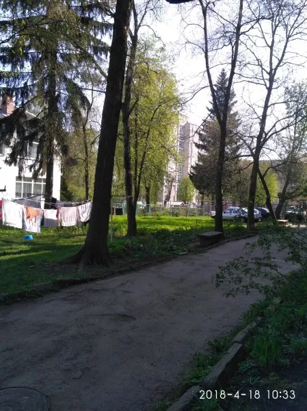 Без асфальту, світла і гойдалок – у Луцьку просять облаштувати двір-пустку (фото)