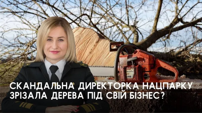 На Світязі активісти здійняли ґвалт через зрізані здорові дерева: що там коїться (фото)