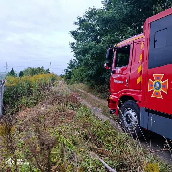 На Волині діти влаштували пожежу біля кладовища (фото)