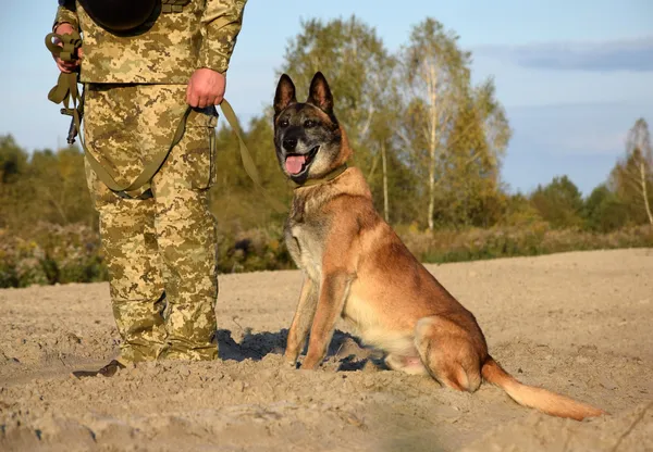Волинський прикордонник і його собака разом 7 років на варті порядку (фото)