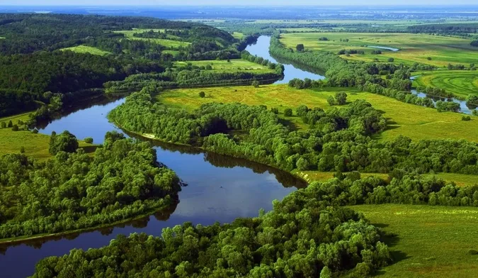 Із Волині у Дніпро через Білорусь, крізь болота та ліси несе свої води неймовірна річка (фото)
