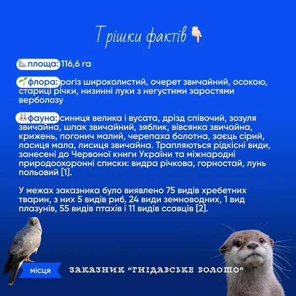 Де у Луцьку ночами збираються мавки