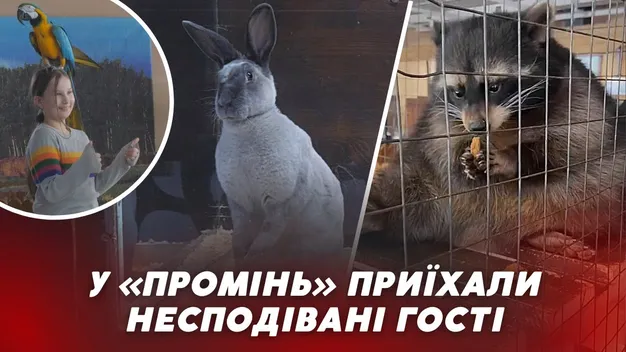 Екзотичні папуги та величезні кролі: у РЦ «Промінь» з'явилися несподівані гості (відео)