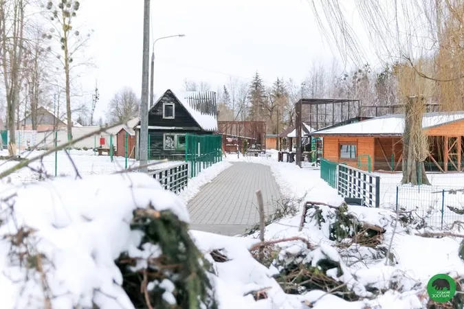 У Луцькому зоопарку «ловили» останні зимові кадри (фото)