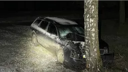 У Ковелі вночі п'яний на Audi втікав від патрульних і протаранив дерево (фото)