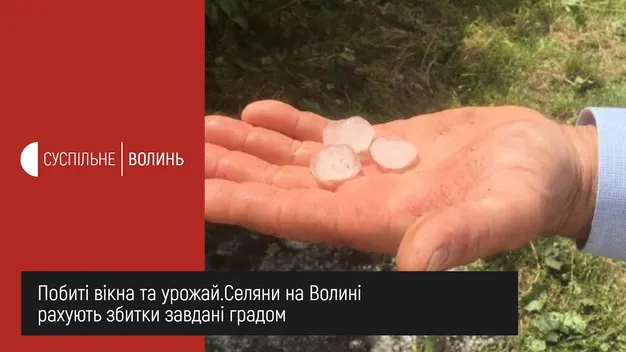 За десять хвилин град знищив усе: на Волині рахують збитки (фото)