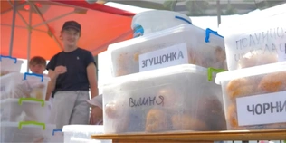 Скільки заробляють продавці легендарних пончиків на Світязі (відео)