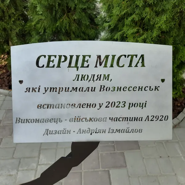 Як волинська лікарка-доброволець допомагала рятувати людей на деокупованій Миколаївщині
