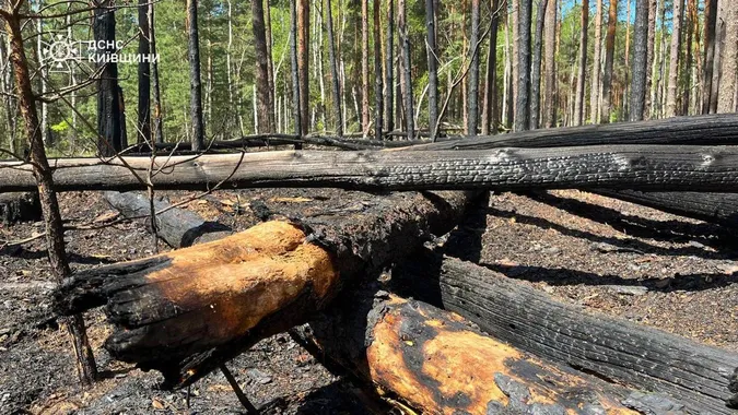 У Чорнобильській зоні досі вирує пожежа: вогонь поширився на 1200 га (фото)