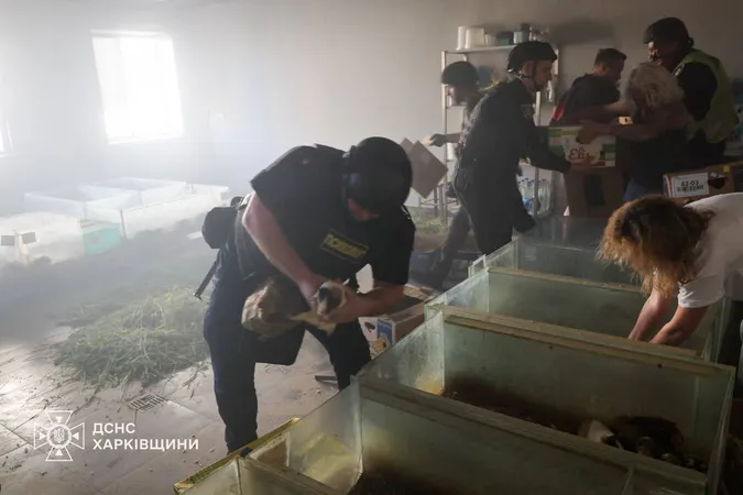 Російські окупанти атакували зоопарк у Харкові – загинули тварини (оновлено)