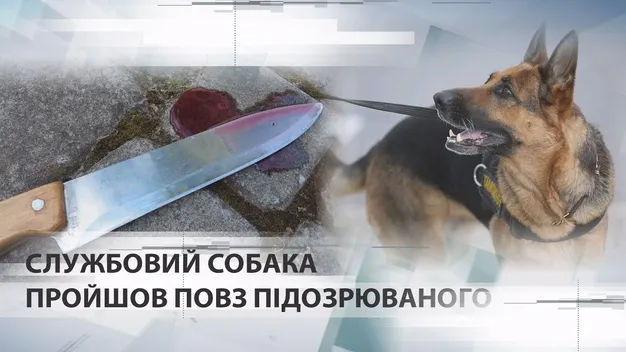 Зарізав односельчанина: у Луцьку за вбивство судять чоловіка (відео)