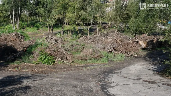 Парк на Набережній у Луцьку – вже за 70 млн: що там зараз відбувається (фото)