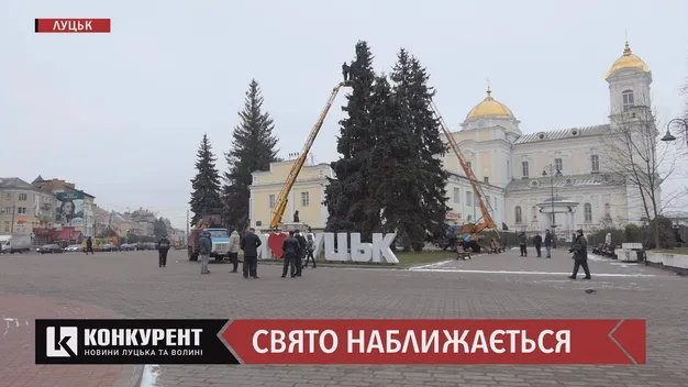 У Луцьку почали прикрашати головні ялинки (фото, відео)