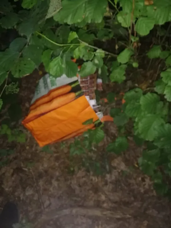 На Волині затримали чоловіка, який хотів переправити майже 5 тисяч пачок сигарет (фото)