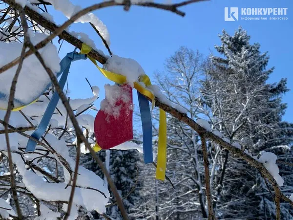 Вона чекає на вас морозного ранку у Луцькому парку (фото)