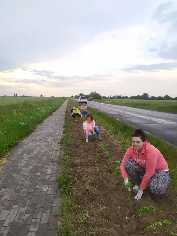 «Квітучий прапор України» збільшився на 2 км і простягнувся вздовж дороги Луцьк-Жидичин