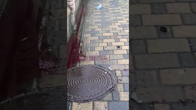 У Луцьку біля стадіону «Авангард» порізали двох людей (відео)