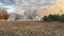 Найбільше – на Ковельщині: на Волині за добу вигоріло понад 7 гектарів (фото)