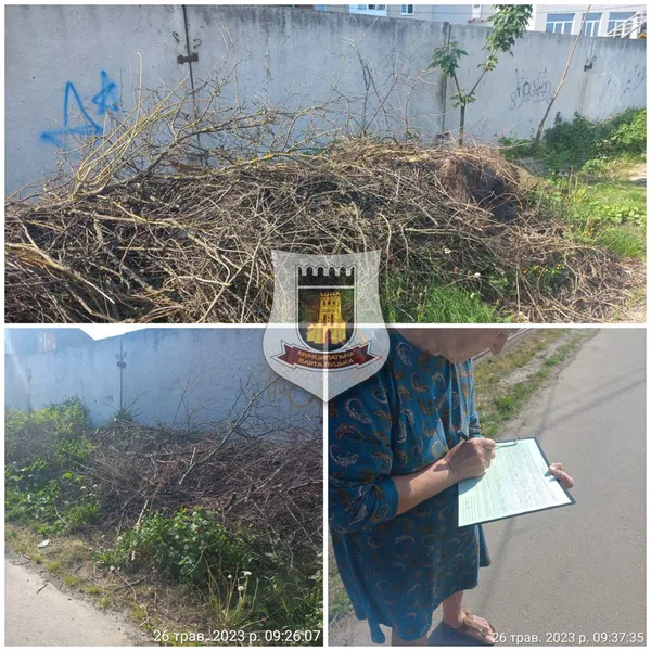 Навалили купу: у Луцьку повикидали зрізане гілля біля паркану (фото)
