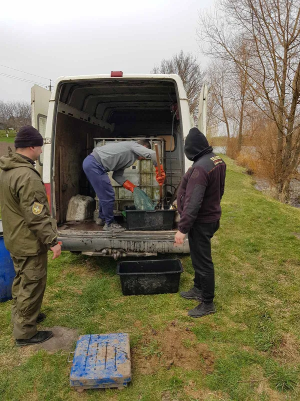 У ставок на Горохівщині вселили майже 400 кілограмів риби (фото, відео)