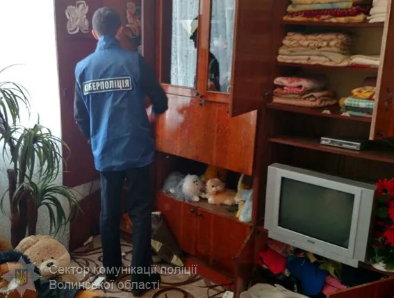 Волинянка продавала через Інтернет вигаданий товар 