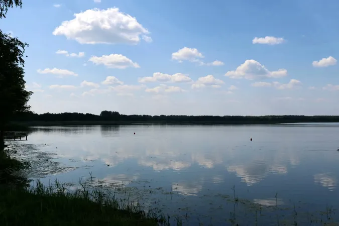 На Волині перевірили озеро Велике Чорне: що показали аналізи води (фото)