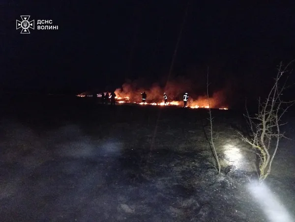 🔥На Волині суха трава палала в чотирьох районах (фото)