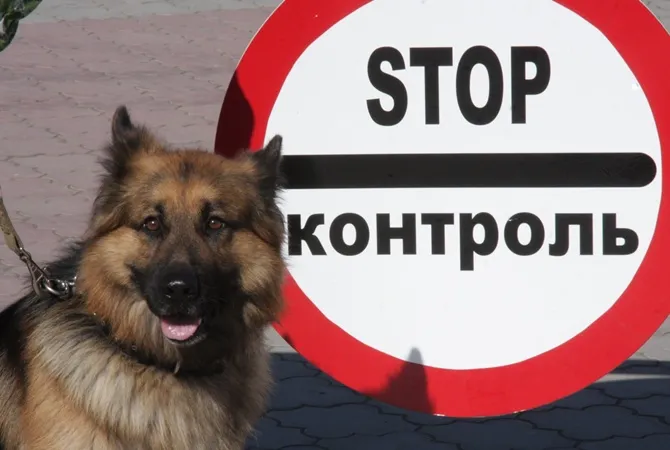 В Україні оголосили «війну» контрабанді