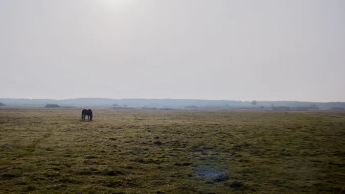 Простота, спокій, загадковість: осінь у селі на Волині (фото)
