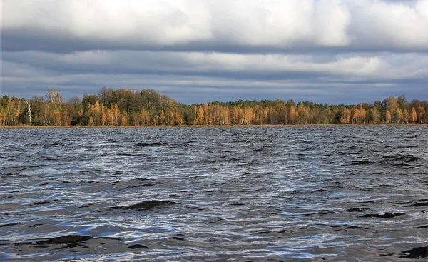 За 150 км від Луцька причаїлось незаймане озеро Шині з прозорою водою та всілякою рибою (фото)