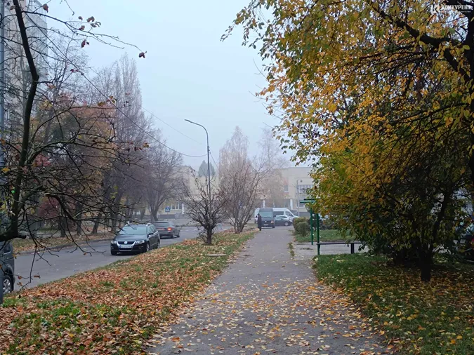 Луцьк знову втонув у тумані (фото)