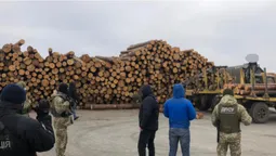 Деревина і бурштин: на волинських лісопильнях – масові обшуки (фото, відео)