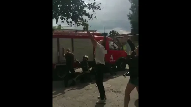 Десять годин на верхівці: у Ковелі зняли з дерева кошеня (відео)
