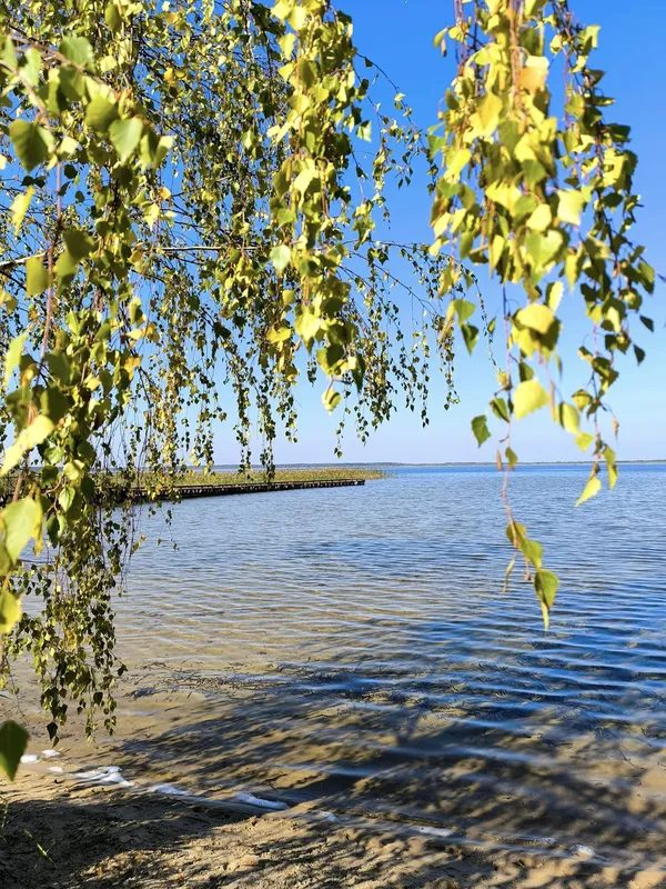 Майже нема людей: як минає оксамитовий сезон на Світязі (фото)