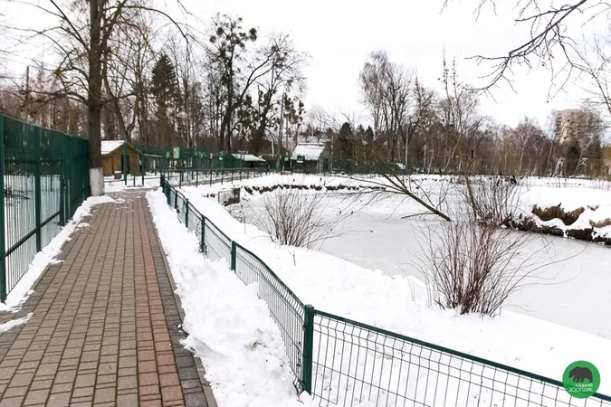 У Луцькому зоопарку «ловили» останні зимові кадри (фото)