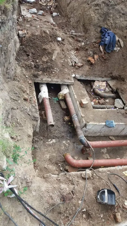 У Луцьку врятували кицьку з кошенятами, які жили в теплопровідних тунелях (фото)