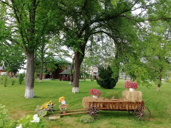 Волинські лісівники показали свою базу відпочинку на Світязі (фото)