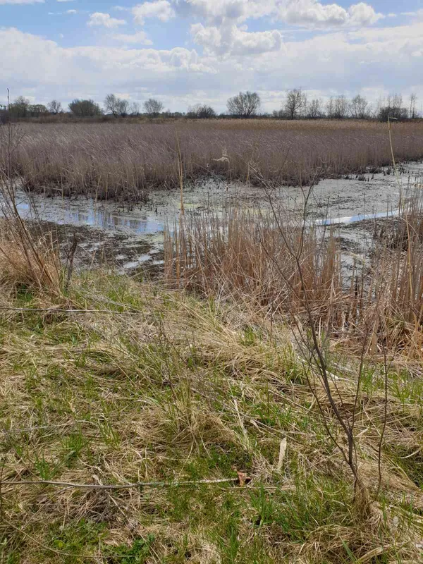 В орнітологічному заказнику в Чарукові браконьєри зловили 10 кілограмів риби (фото)