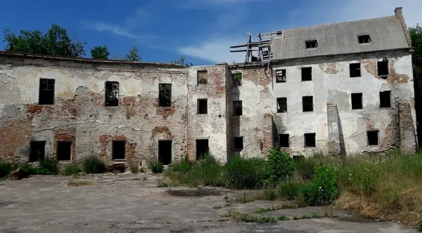 В руїнах замку неподалік Луцька заховані скарби князів Чорторийських і таємна бібліотека єзуїтів (фото)
