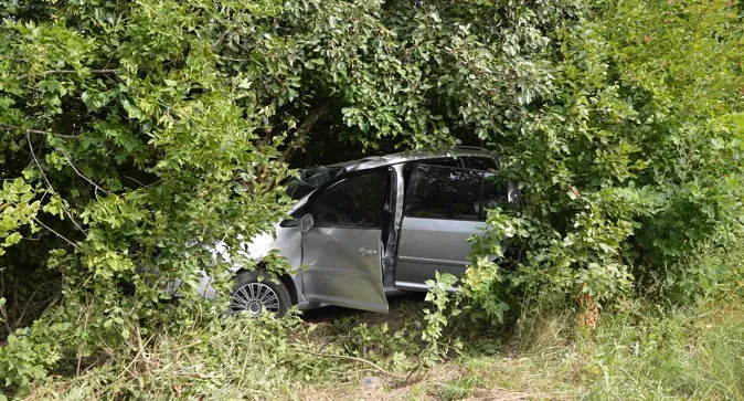 Врізався у дерево: у ДТП на Волині постраждали двоє дорослих і двоє дітей (фото)
