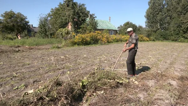 Очікують понад мільйон тонн урожаю: волиняни збирають врожай картоплі (фото)