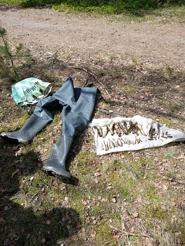 Ловив цінні види риб: на Волині виявили порушника (фото)