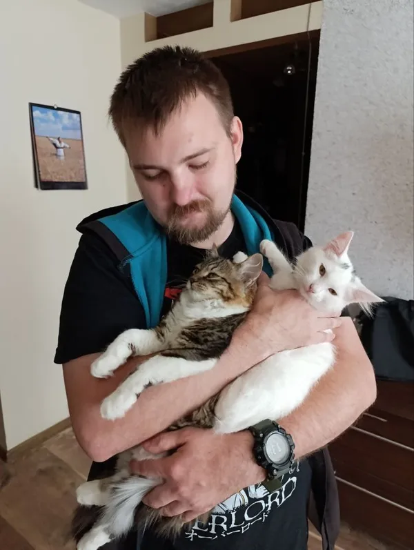 Ветеран з двома котами