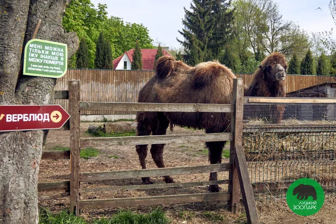 Мавпи, тигри і лемури: Луцький зоопарк кличе школярів на екскурсії (фото)
