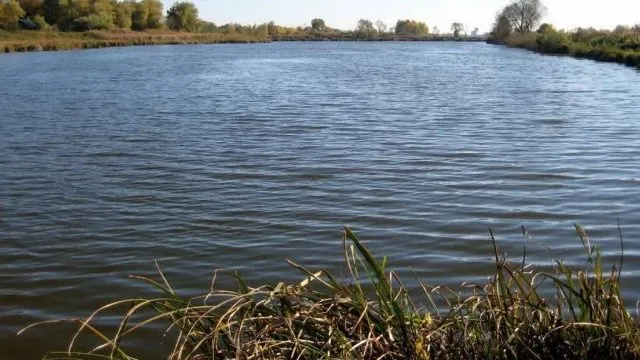 На Волині в ставку втопився хлопчик: виявилося, що водойму викопали незаконно