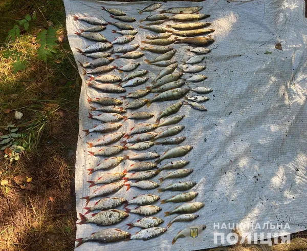 Тягав рибу сітками: на Світязі зловили браконьєра (фото)