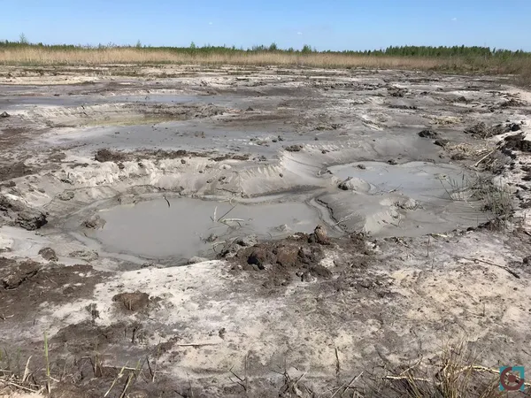 Бурштиновий промисел на карантині: що відбувається на поліських клондайках (фото, відео)